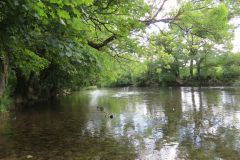 5.-Downstream-from-Tiverton-11