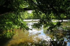 5.-Downstream-from-Tiverton-15
