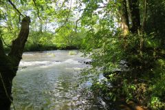 5.-Downstream-from-Tiverton-16