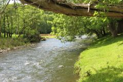 5.-Downstream-from-Tiverton-2
