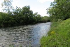 5.-Downstream-from-Tiverton-29