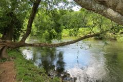 5.-Downstream-from-Tiverton-6