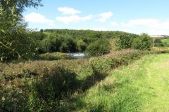 26.-Thorverton-Weir-11
