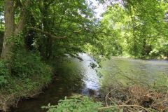 3.-Downstream-from-Bickleigh-Bridge-1