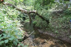 3.-Downstream-from-Bickleigh-Bridge-2