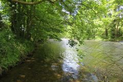 3.-Downstream-from-Bickleigh-Bridge-3
