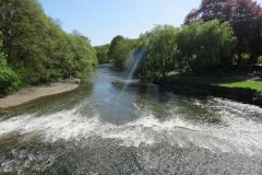 3.-Downstream-from-Bickleigh-Bridge-4