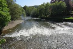 3.-Downstream-from-Bickleigh-Bridge-5