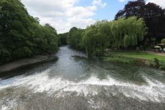3.-Downstream-from-Bickleigh-Bridge-6
