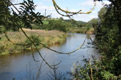 30.-Upstream-from-Thorverton-Bridge-1