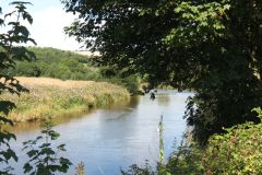 30.-Upstream-from-Thorverton-Bridge-2