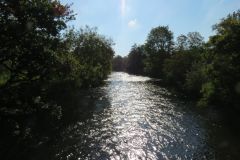 6.-Looking-upstream-from-Bickleigh-Castle-bridge