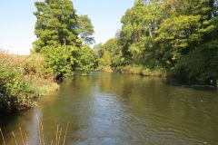 8.-Downstream-from-Bickleigh-Castle-1