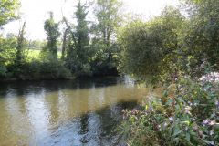 8.-Downstream-from-Bickleigh-Castle-10