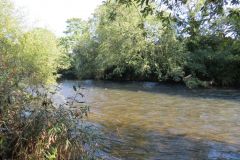 8.-Downstream-from-Bickleigh-Castle-11