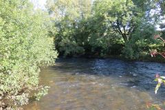 8.-Downstream-from-Bickleigh-Castle-12