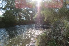 8.-Downstream-from-Bickleigh-Castle-13