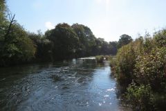 8.-Downstream-from-Bickleigh-Castle-2