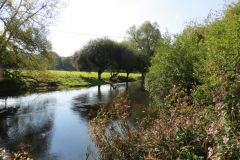 8.-Downstream-from-Bickleigh-Castle-20