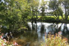 8.-Downstream-from-Bickleigh-Castle-21