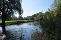 8.-Downstream-from-Bickleigh-Castle-23
