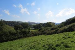 8.-Downstream-from-Bickleigh-Castle-26