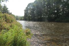 8.-Downstream-from-Bickleigh-Castle-29