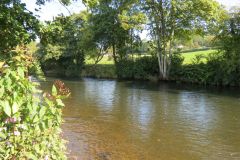8.-Downstream-from-Bickleigh-Castle-3