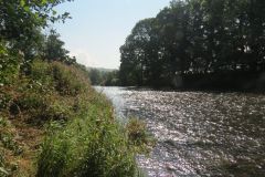 8.-Downstream-from-Bickleigh-Castle-30