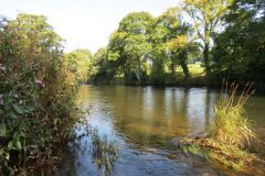 8.-Downstream-from-Bickleigh-Castle-5