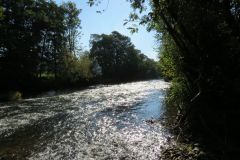 8.-Downstream-from-Bickleigh-Castle-7