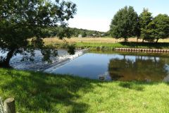 3.-Thorverton-bridge-weir-1