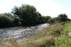 5.-Downstream-from-Thorverton-Bridge-1