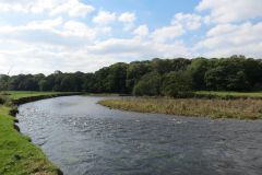 5.-Downstream-from-Thorverton-Bridge-11