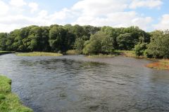 5.-Downstream-from-Thorverton-Bridge-13