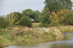 5.-Downstream-from-Thorverton-Bridge-15