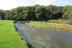 5.-Downstream-from-Thorverton-Bridge-16