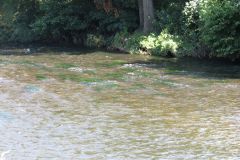 5.-Downstream-from-Thorverton-Bridge-4