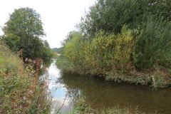 5.-Downstream-from-Thorverton-Bridge-5