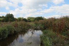 5.-Downstream-from-Thorverton-Bridge-6