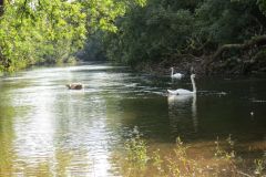 6.-Upstream-from-Netherexe-2