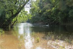 6.-Upstream-from-Netherexe-3