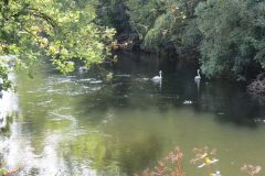 6.-Upstream-from-Netherexe-6