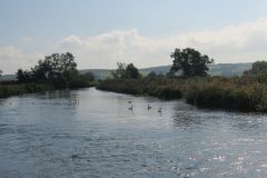 1.-Downstream-from-Netherexe-1