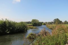 1.-Downstream-from-Netherexe-7