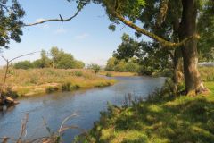 2.-Upstream-from-Brampford-Speake-2