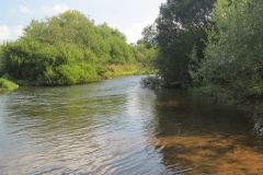 2.-Upstream-from-Brampford-Speake-5