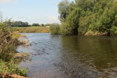 2.-Upstream-from-Brampford-Speake-6