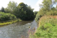 6.-Upstream-from-Brampford-Speake-2