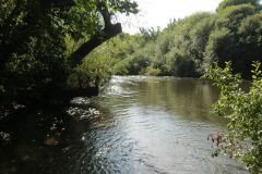 6.-Upstream-from-Brampford-Speake-4